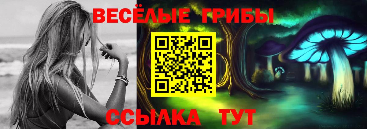Псилоцибиновые грибы прущие грибы Омск